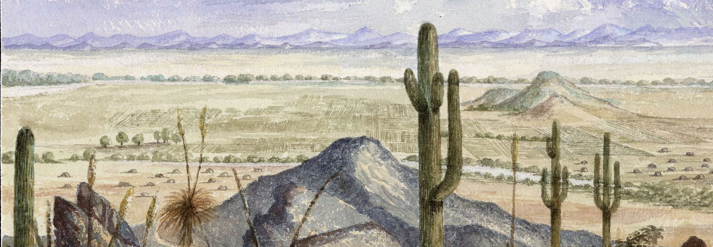 Painting of a landscape with saguaro cacti
